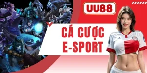 Cá Cược E-Sport Trải Nghiệm Đấu Trường Thể Thao Điện Tử