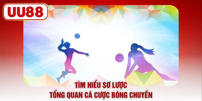 Tìm hiểu sơ lược tổng quan cá cược bóng chuyền